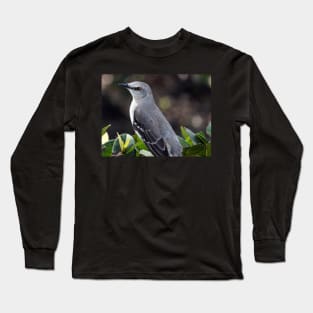 State Bird Northern Mockingbird Long Sleeve T-Shirt